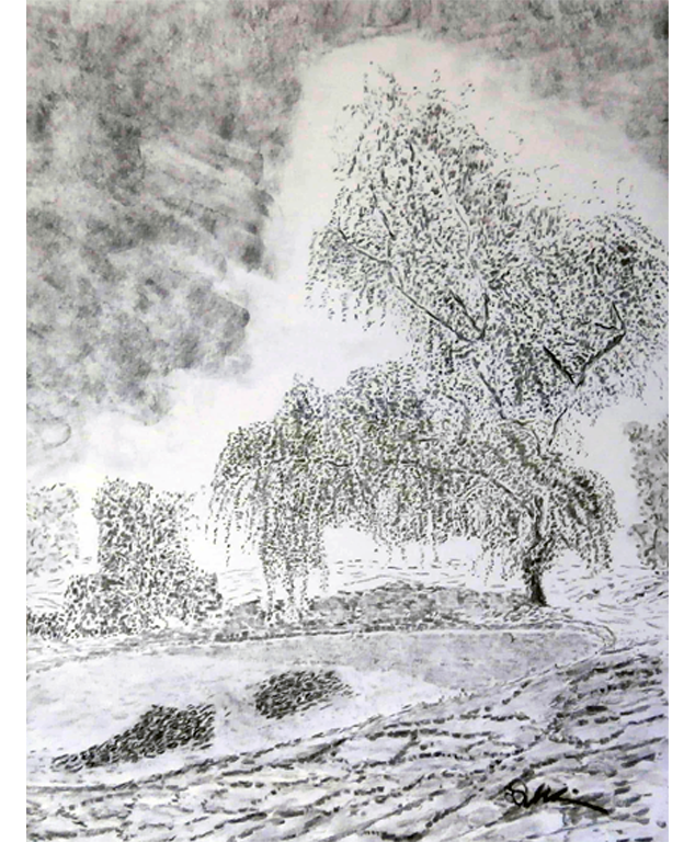 Dirk Nienemann, Künstler Holzkohlezeichnungen, Lehrte Hannover, Drucke Holzkohlezeichnungen,Abstrakte, Landschaft, Stillleben